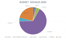 BUDGET ACTIVITES SOCIALES 2020